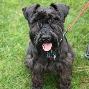 Meet your Posher, Scott